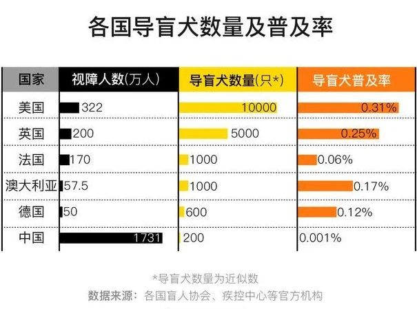 （图）各国导盲犬数量及普及率 图片来源于澎湃